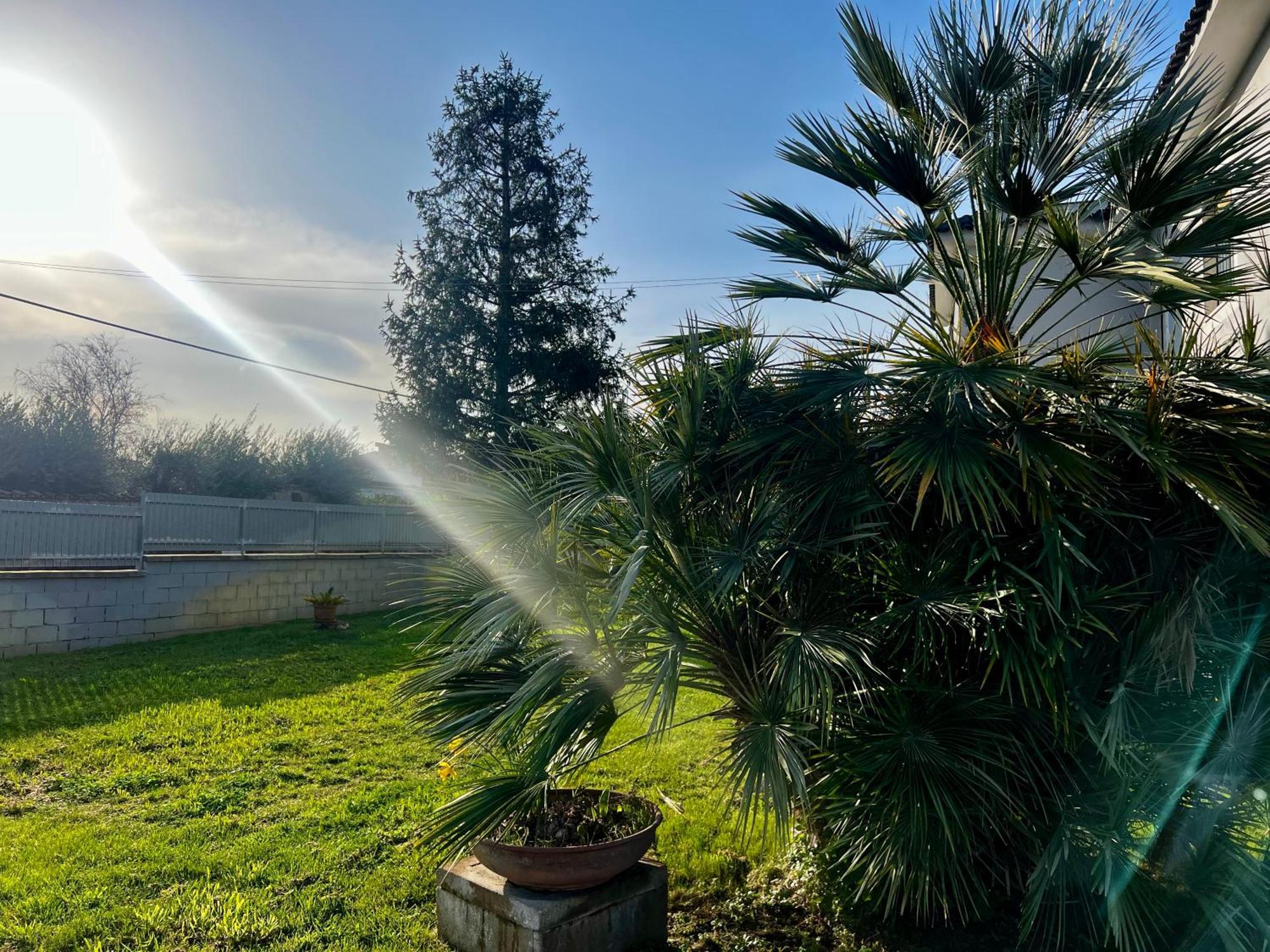 A Casa Di Marco Guesthouse - Apt Di Ciampino E Stazione Per Roma Marino Exteriör bild